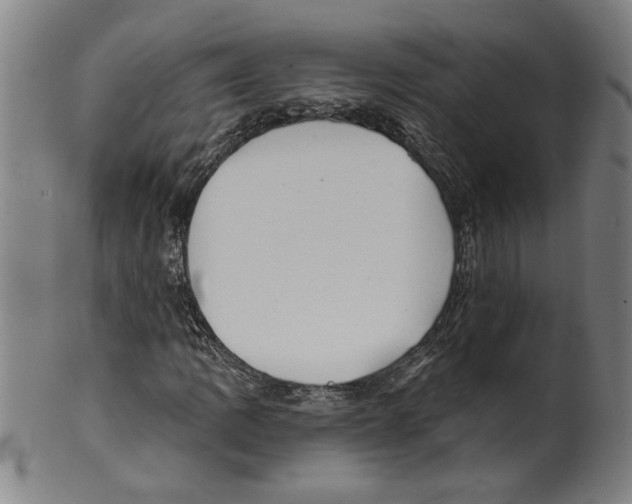 X0000099421109200806060948