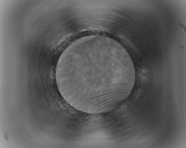 X0000099421110200806060948