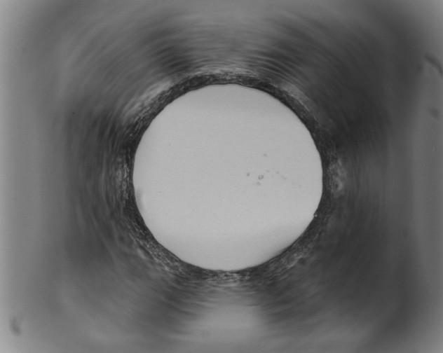 X0000099421111200806060948