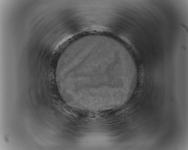 X0000099421112200806060948
