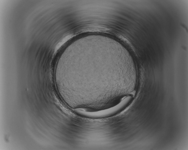 X0000099421114200806060949