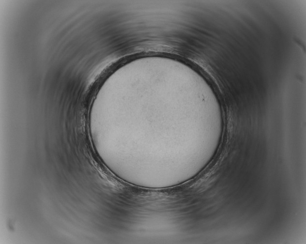 X0000099421115200806060949