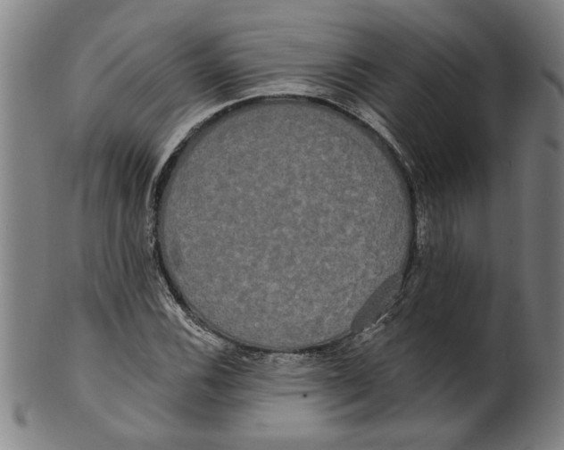 X0000099421116200806060949