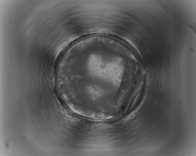 X0000099421117200806060949
