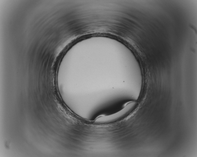 X0000099421118200806060949
