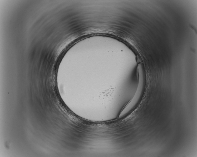 X0000099421119200806060949