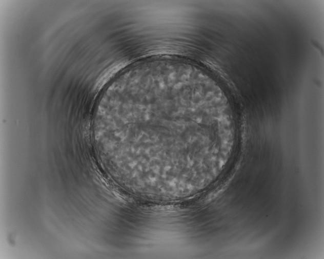 X0000099421121200806060949