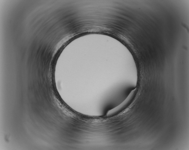 X0000099421122200806060949