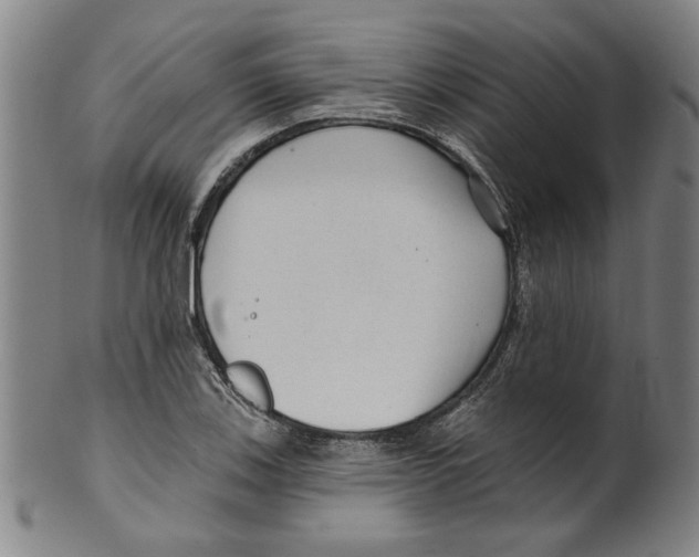 X0000099421123200806060949