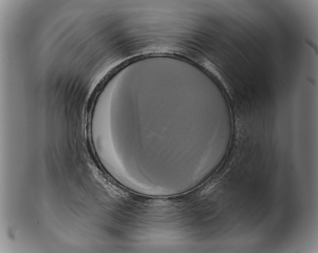 X0000099421124200806060949