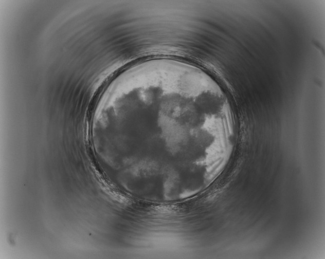 X0000099421125200806060949