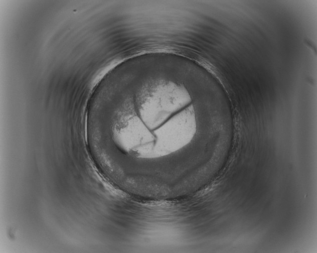 X0000099421127200806060949