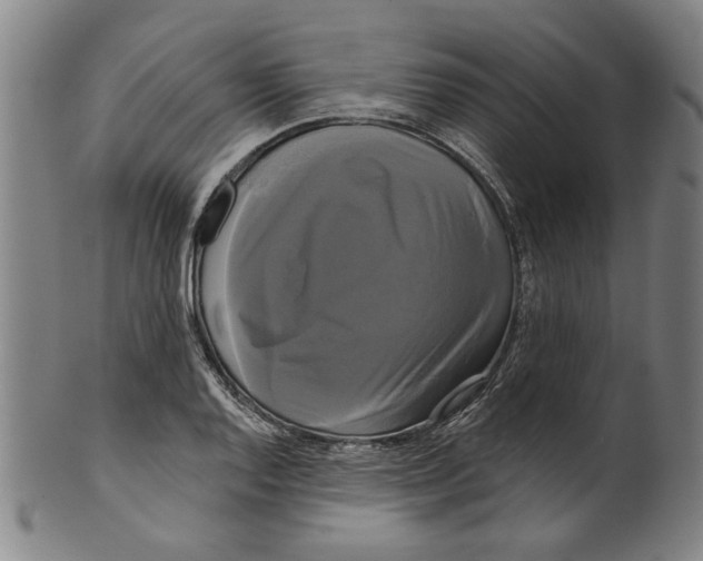 X0000099421128200806060949