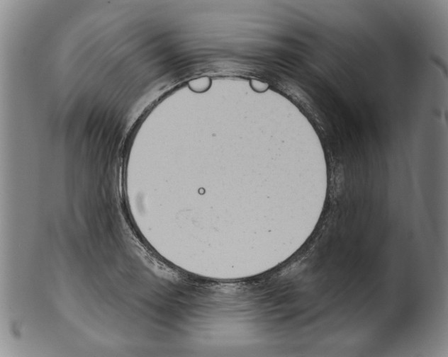 X0000099421130200806060949
