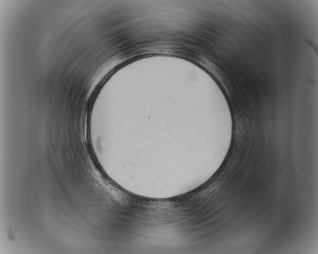 X0000099421131200806060949