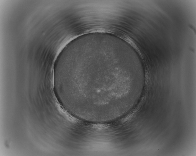 X0000099421132200806060949