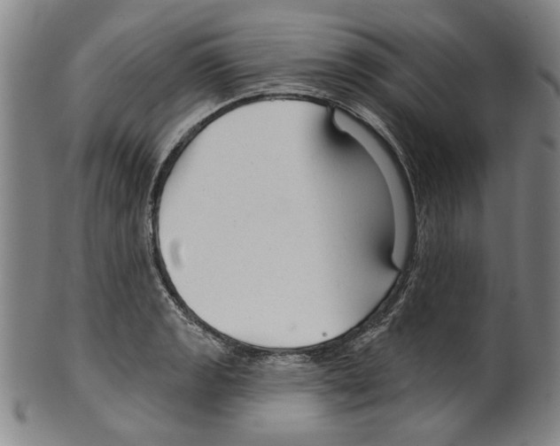 X0000099421133200806060949