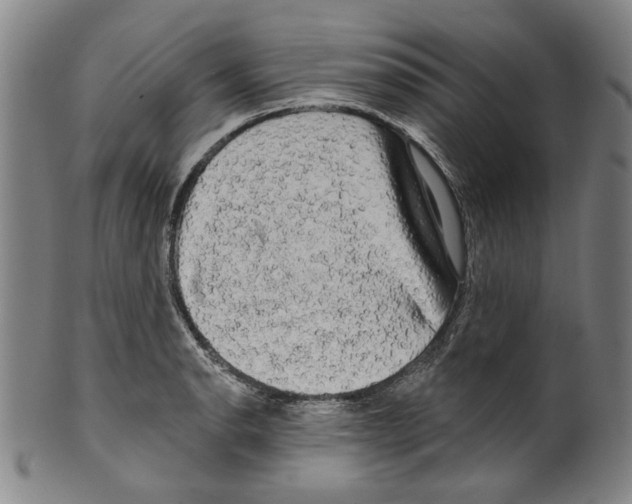 X0000099421134200806060949
