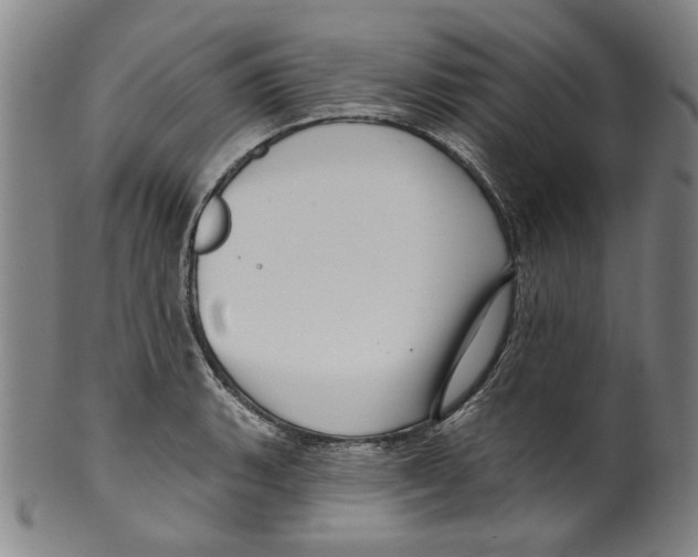 X0000099421135200806060949