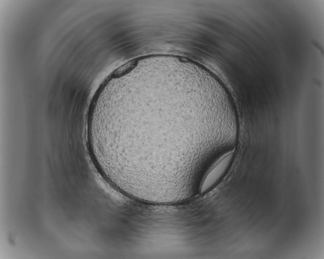 X0000099421136200806060949