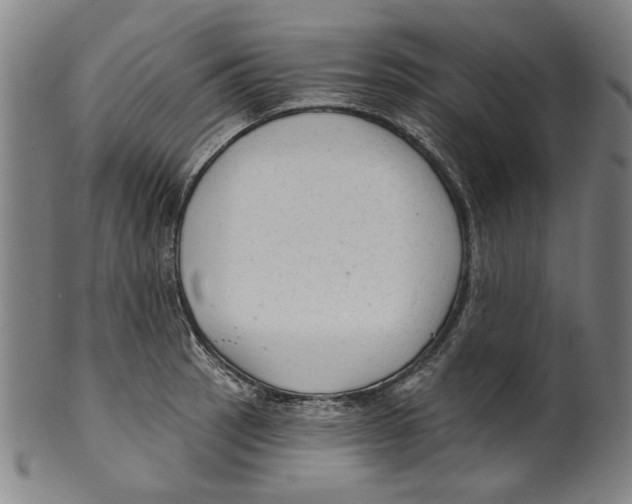 X0000099421137200806060949