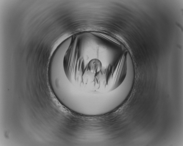 X0000099421138200806060949