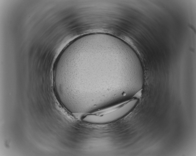 X0000099421140200806060949