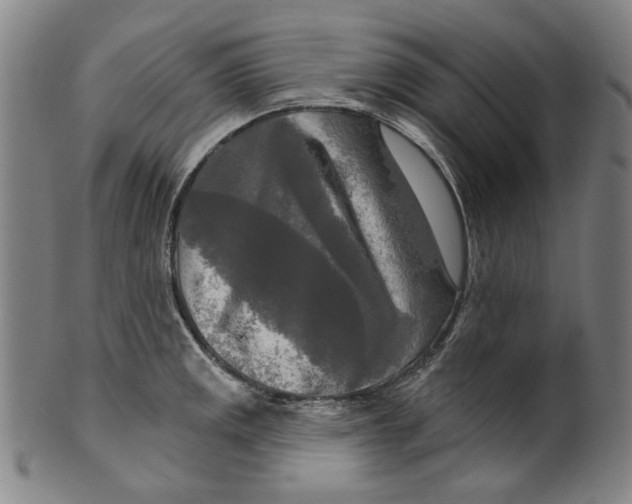 X0000099421141200806060949
