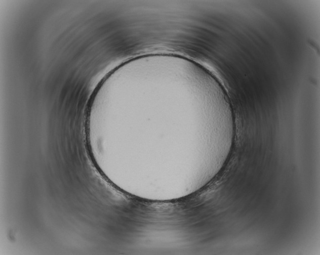 X0000099421142200806060949