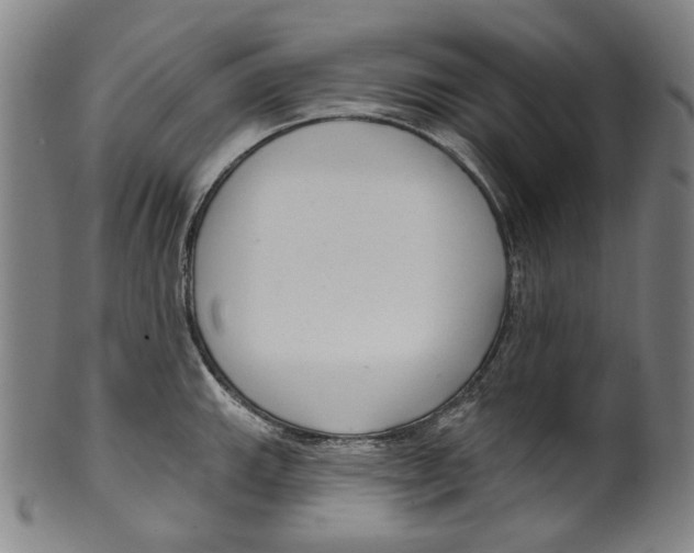 X0000099421143200806060949
