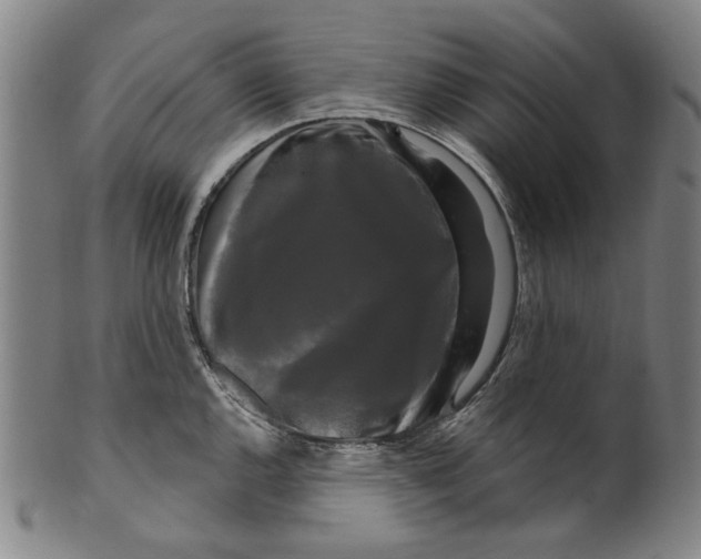X0000099421144200806060949