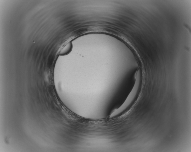 X0000099421145200806060949