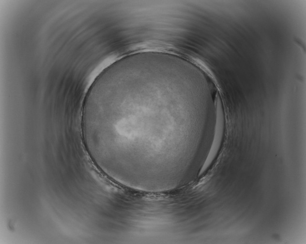 X0000099421146200806060949