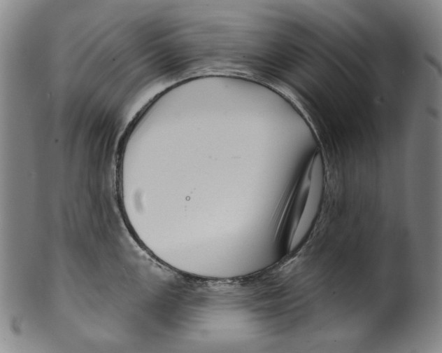 X0000099421147200806060949