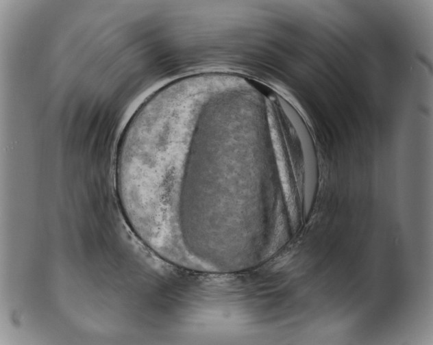 X0000099421148200806060949