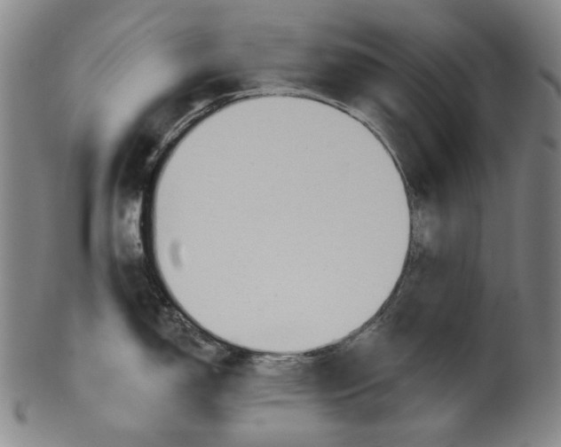 X0000099421150200806060949