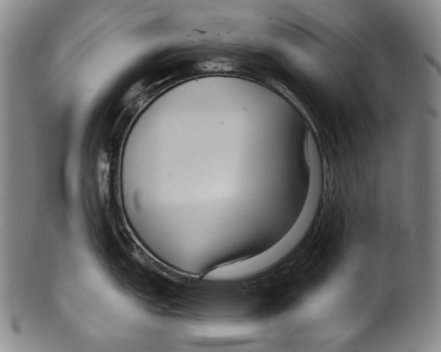 X0000099421151200806060949