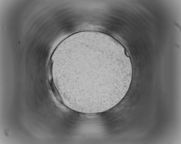X0000099421152200806060949