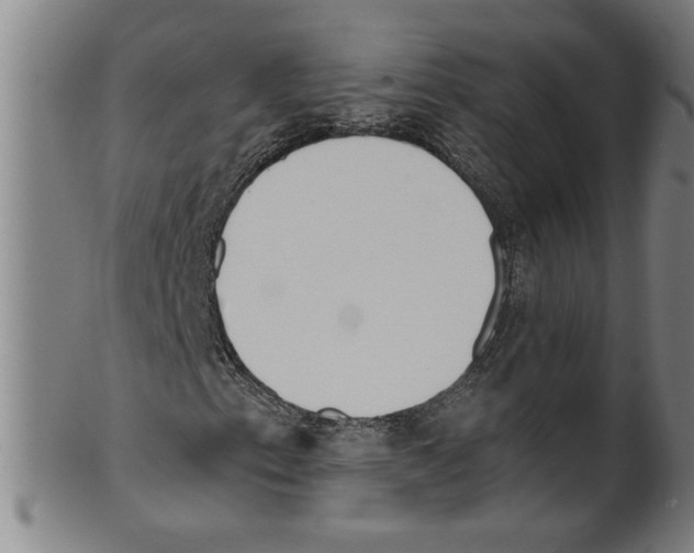 X0000099421153200806060948