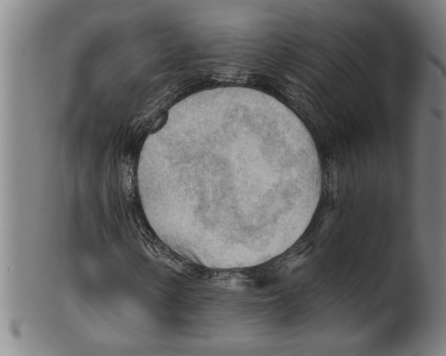 X0000099421154200806060948