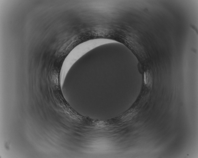 X0000099421155200806060948