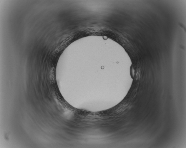 X0000099421156200806060948