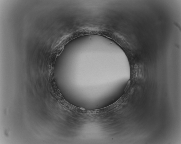 X0000099421157200806060948