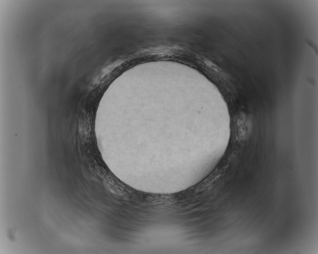 X0000099421158200806060948