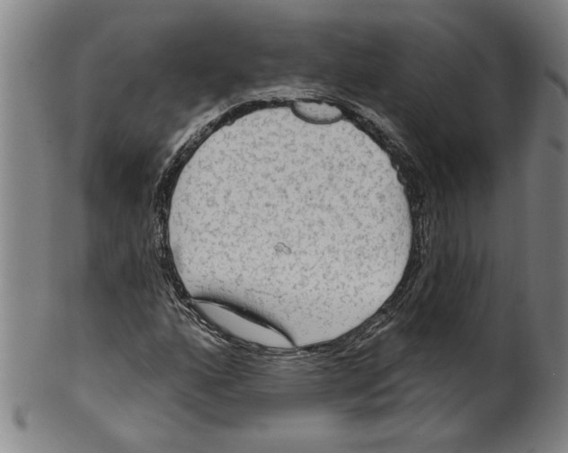 X0000099421160200806060948