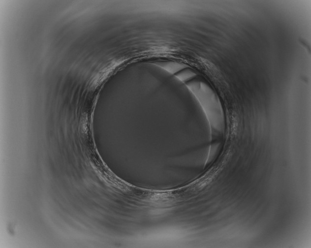 X0000099421161200806060948