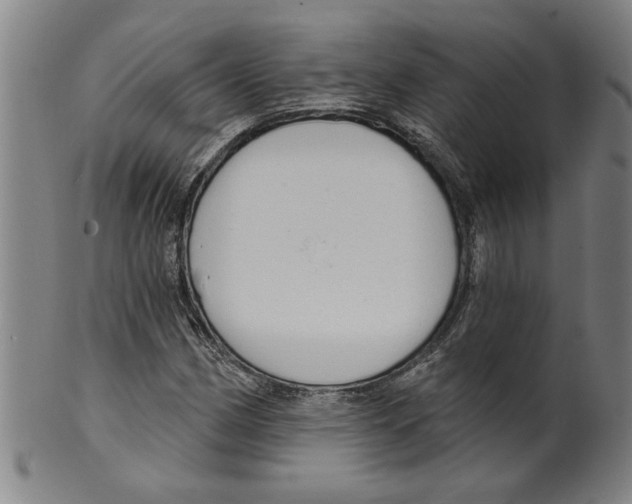 X0000099421162200806060948