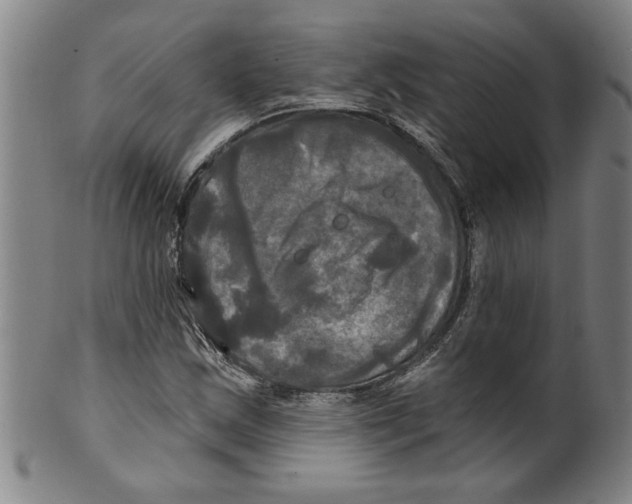 X0000099421163200806060948