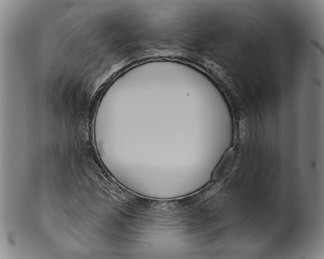 X0000099421165200806060948