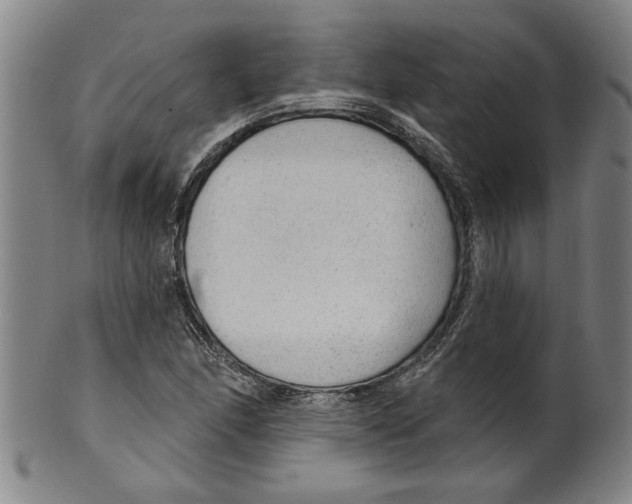 X0000099421166200806060948